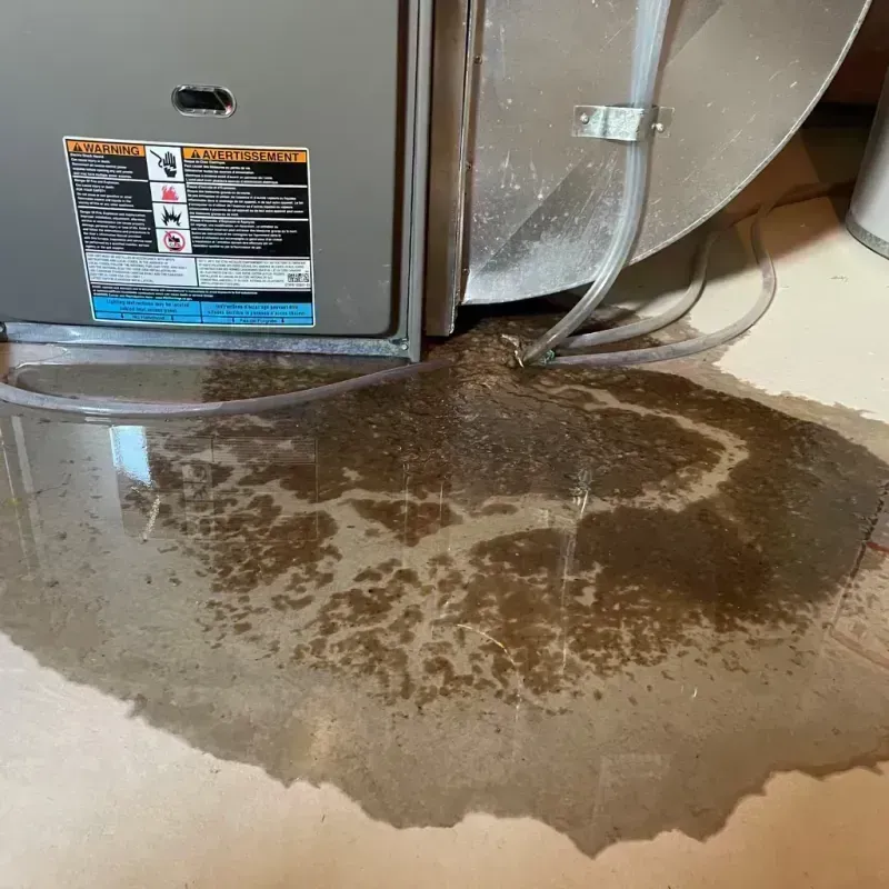 Appliance Leak Cleanup in Smithland, KY